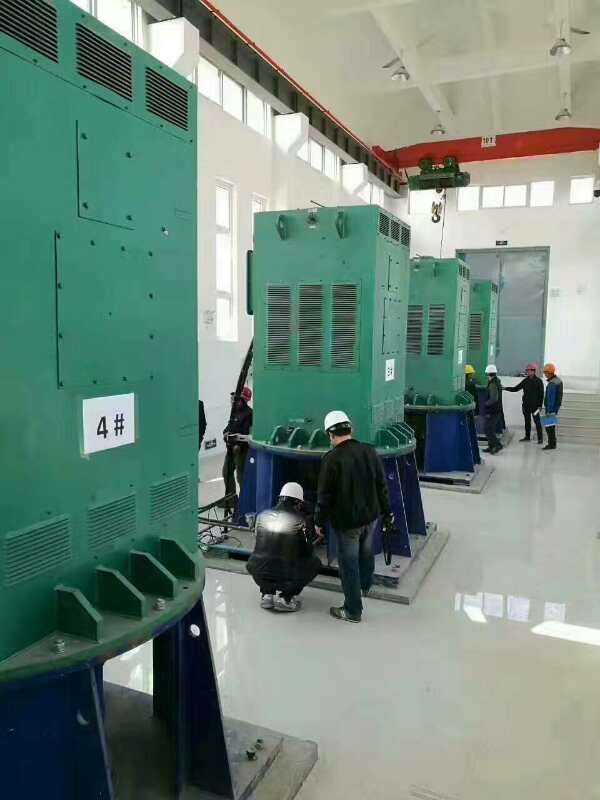 武宁某污水处理厂使用我厂的立式高压电机安装现场